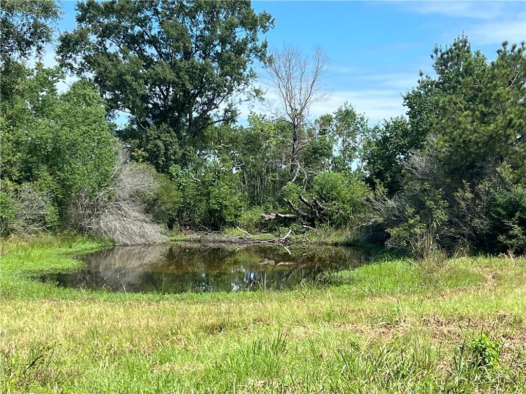 Lanaux Farm Road, Loranger, Louisiana image 2