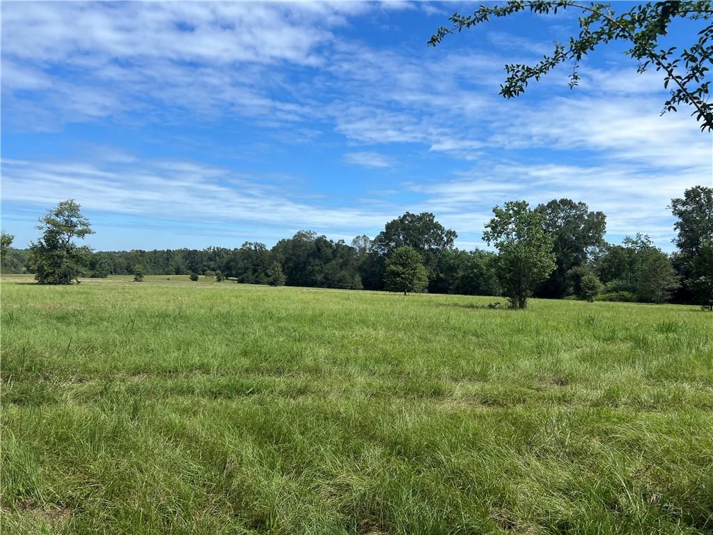 Lanaux Farm Road, Loranger, Louisiana image 3