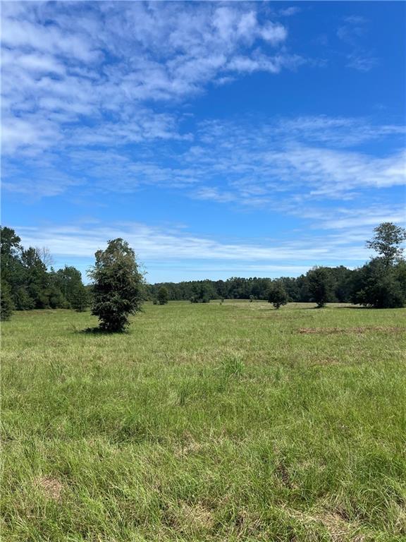 Lanaux Farm Road, Loranger, Louisiana image 4