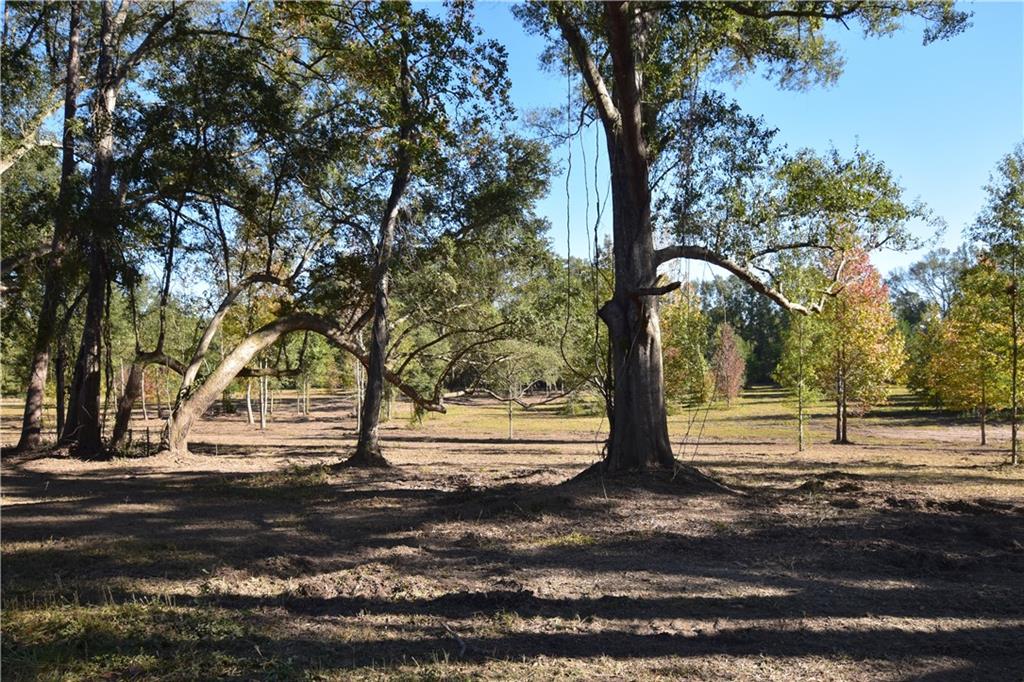 00 Ebb Guillot Road, Pearl River, Louisiana image 1