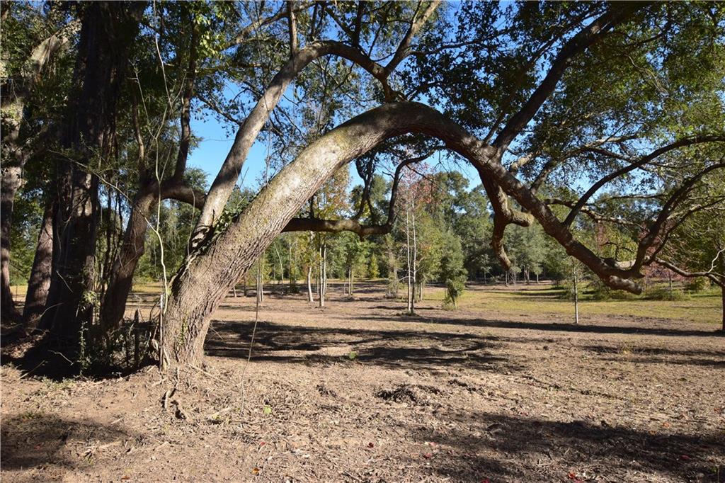 00 Ebb Guillot Road, Pearl River, Louisiana image 2