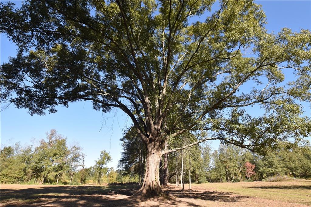 00 Ebb Guillot Road, Pearl River, Louisiana image 3