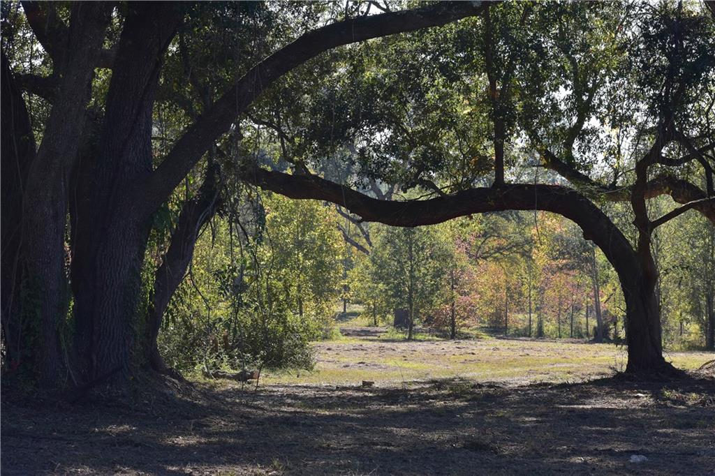 00 Ebb Guillot Road, Pearl River, Louisiana image 4