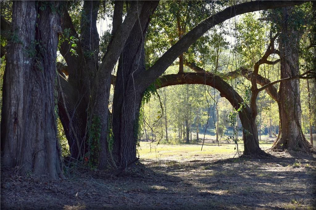 00 Ebb Guillot Road, Pearl River, Louisiana image 1