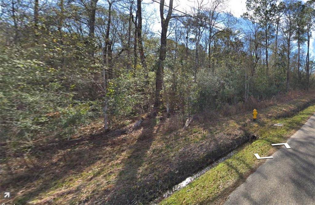 Lot 16 Cedar Drive, Pearlington, Mississippi image 3