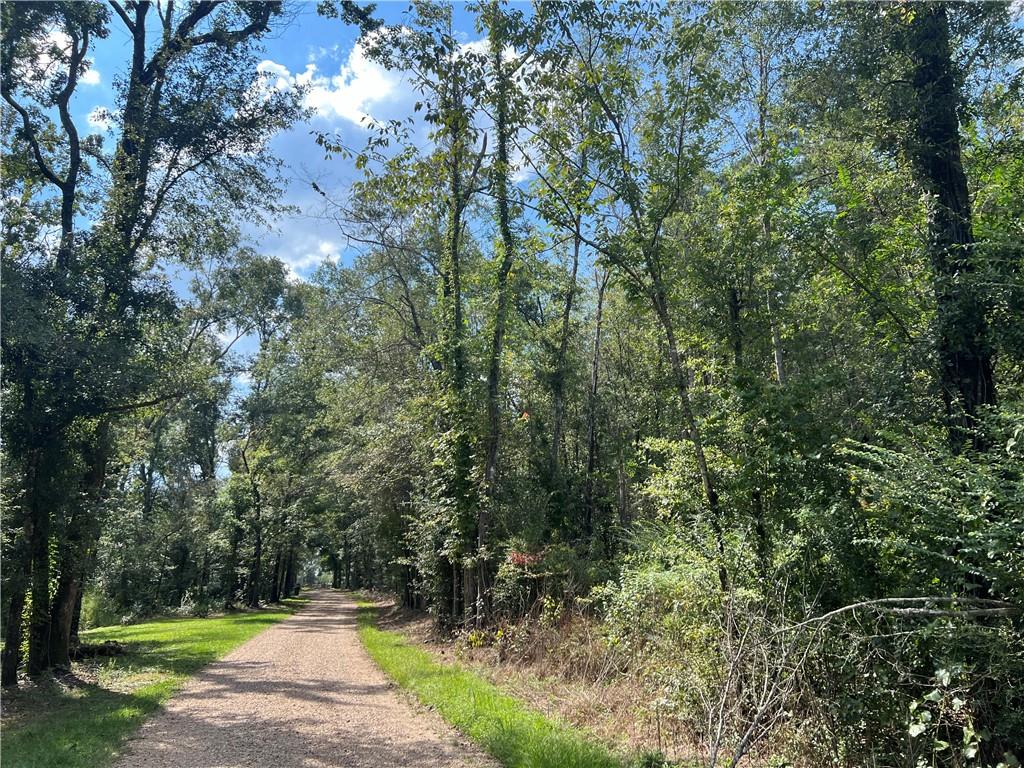 Charlie Morse Lane, Kentwood, Louisiana image 1