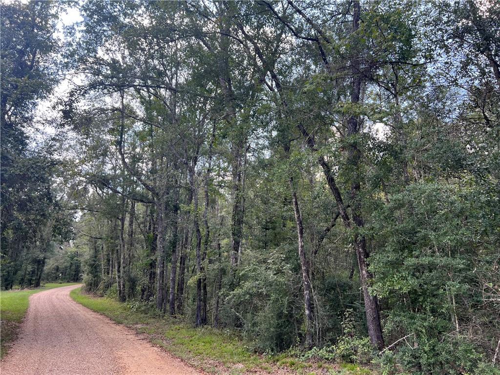 Charlie Morse Lane, Kentwood, Louisiana image 2