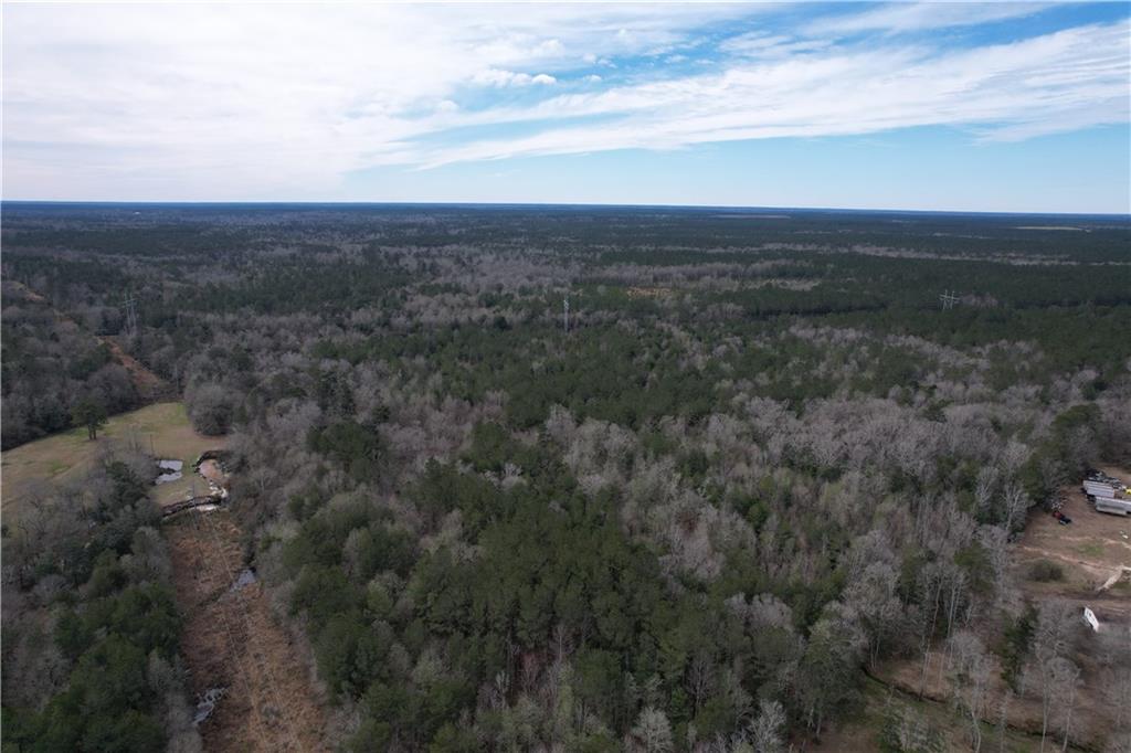 La-439 Highway, Franklinton, Louisiana image 24