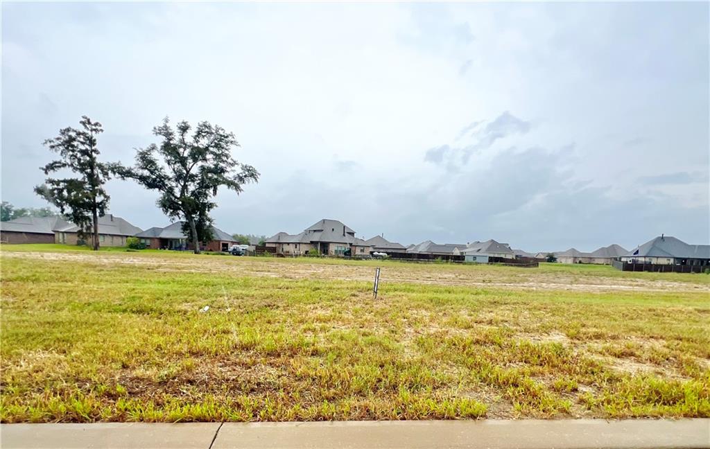 Sophia Drive, Luling, Louisiana image 1