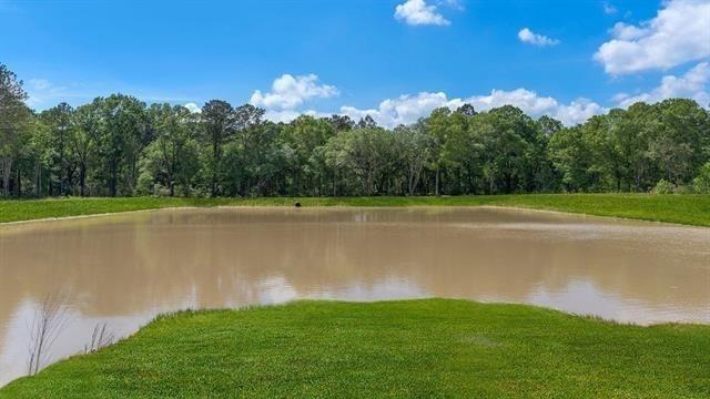 Lot #3 Button Bush Drive, Covington, Louisiana image 3