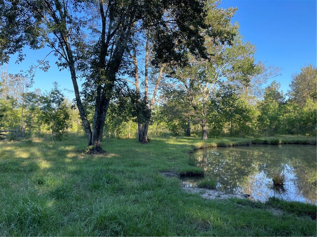 Boyd Road, Covington, Louisiana image 6