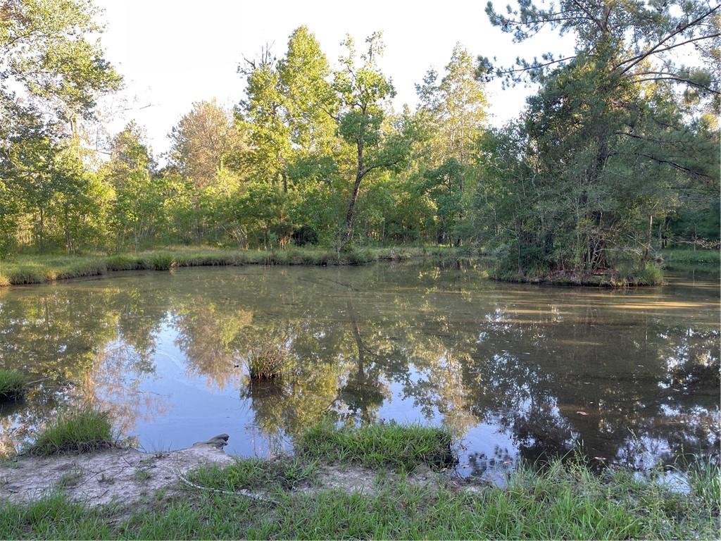 Boyd Road, Covington, Louisiana image 7