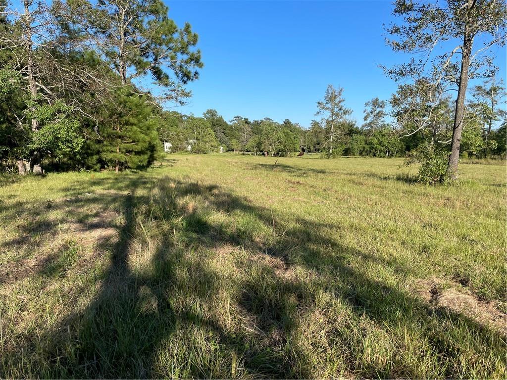 Boyd Road, Covington, Louisiana image 9