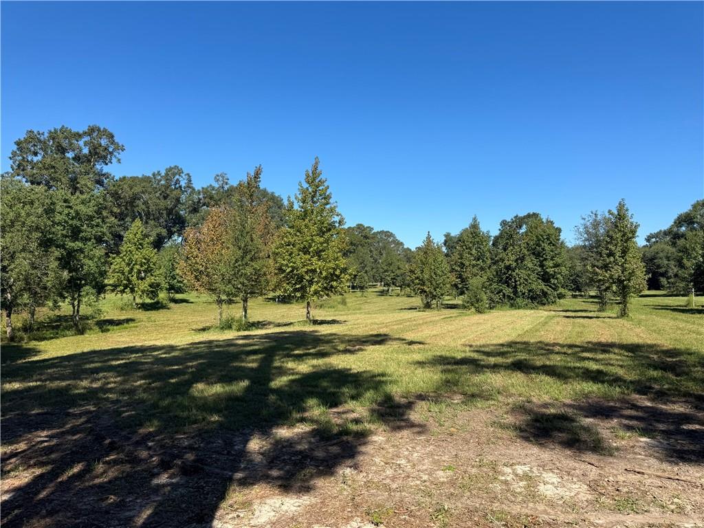 Ebb Guillot Road, Pearl River, Louisiana image 1