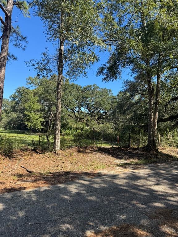 Ebb Guillot Road, Pearl River, Louisiana image 5