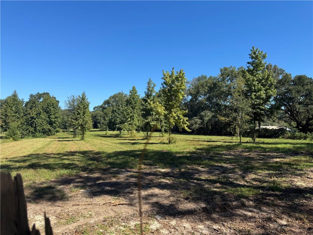 Ebb Guillot Road, Pearl River, Louisiana image 1