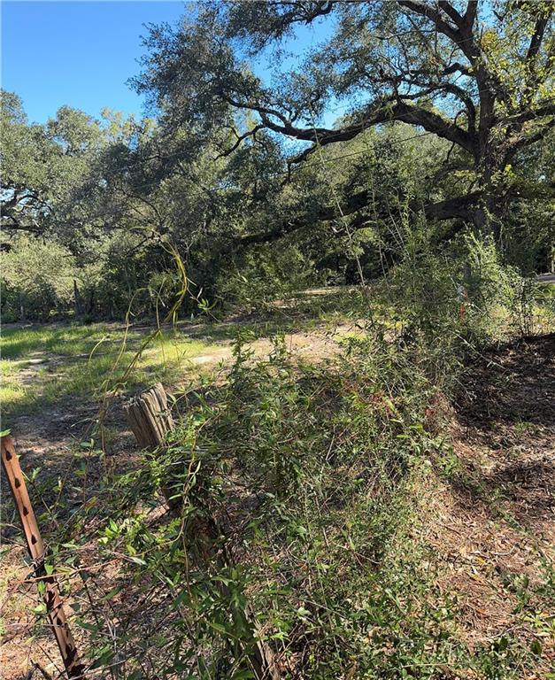 Ebb Guillot Road, Pearl River, Louisiana image 4