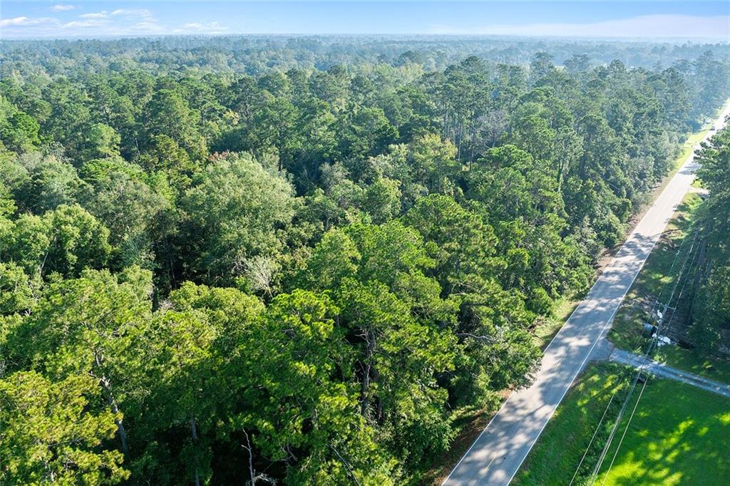 Old Covington Highway, Hammond, Louisiana image 1