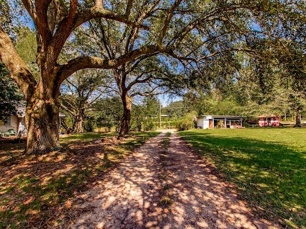 46514 Emma Hart Road, Franklinton, Louisiana image 21