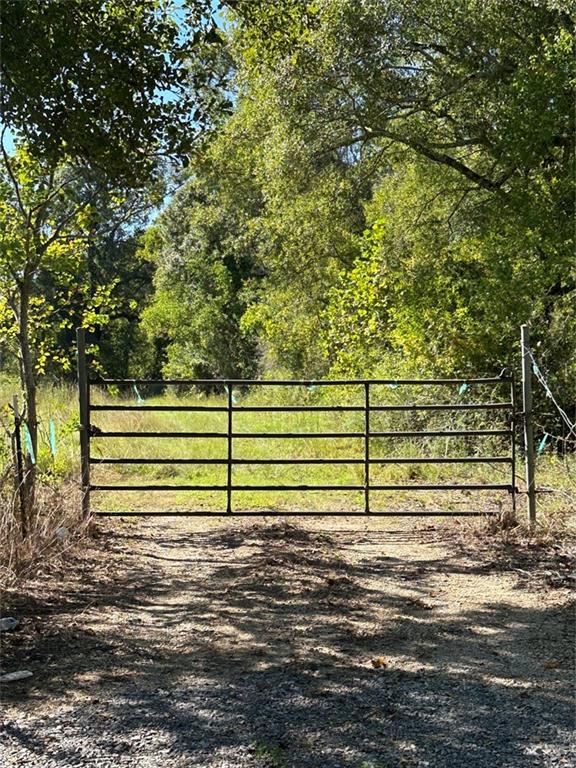 Port Hudson-pride Rd Road, Zachary, Louisiana image 10