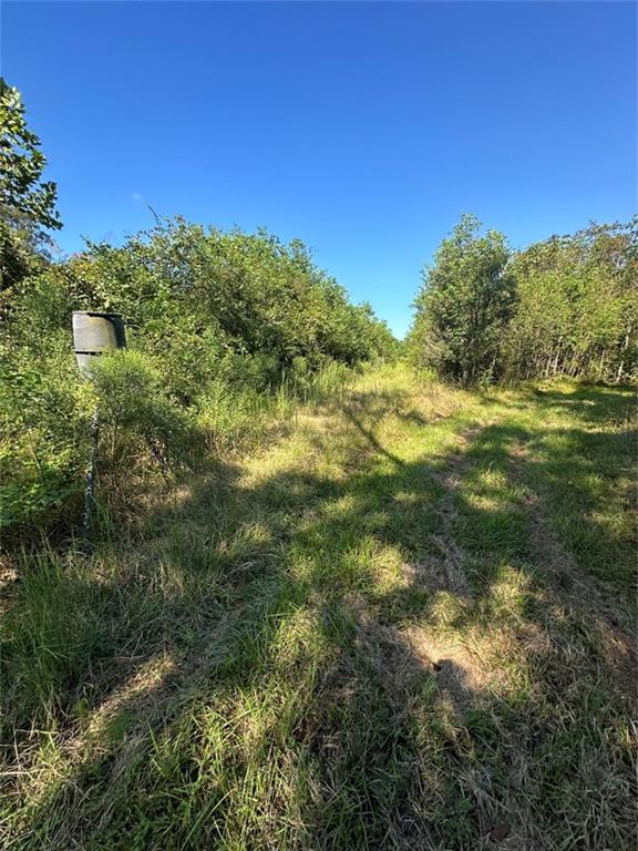 Port Hudson-pride Rd Road, Zachary, Louisiana image 17