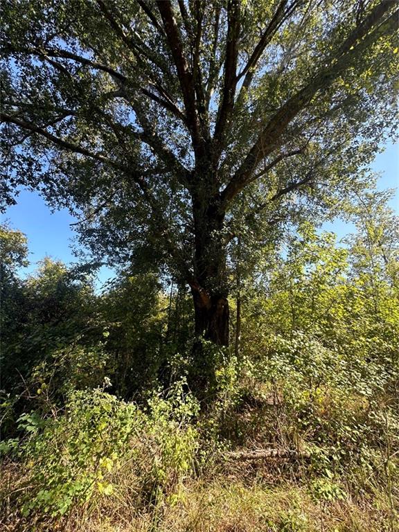 Port Hudson-pride Rd Road, Zachary, Louisiana image 18