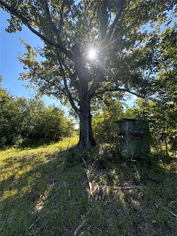 Port Hudson-pride Rd Road, Zachary, Louisiana image 19