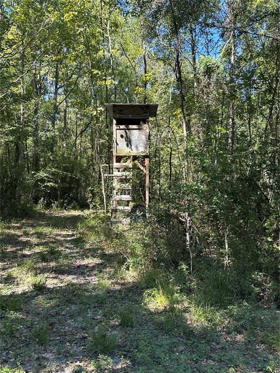 Port Hudson-pride Rd Road, Zachary, Louisiana image 2