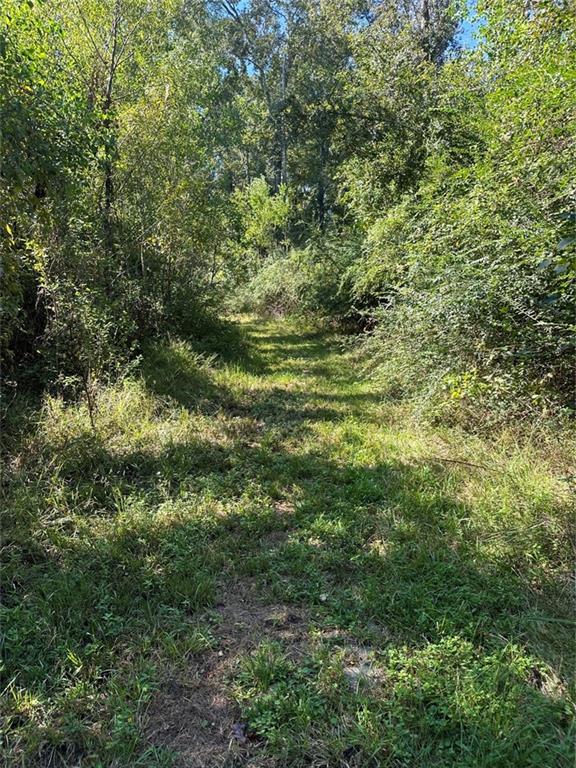 Port Hudson-pride Rd Road, Zachary, Louisiana image 20