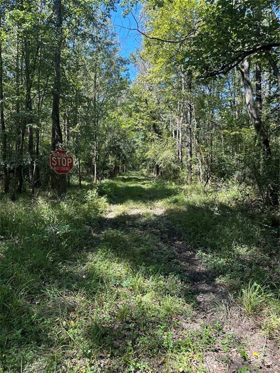 Port Hudson-pride Rd Road, Zachary, Louisiana image 23