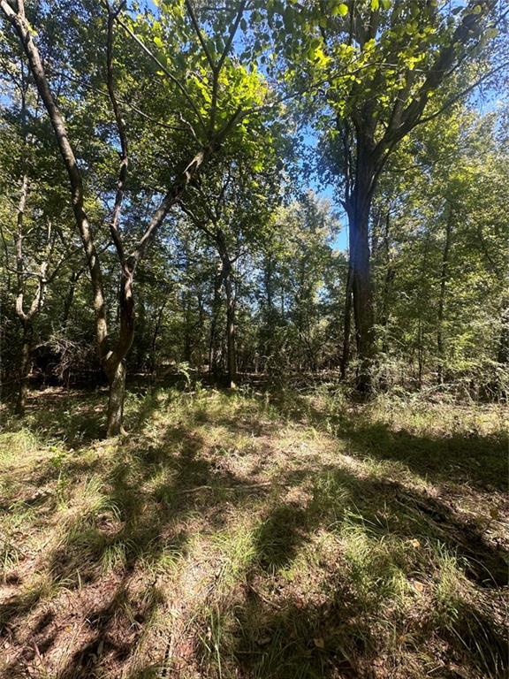 Port Hudson-pride Rd Road, Zachary, Louisiana image 26