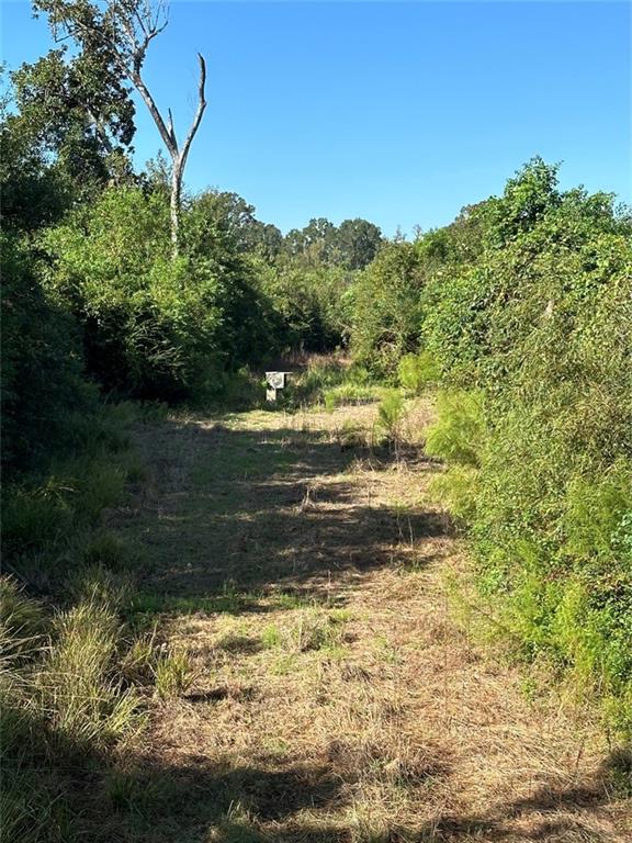 Port Hudson-pride Rd Road, Zachary, Louisiana image 4