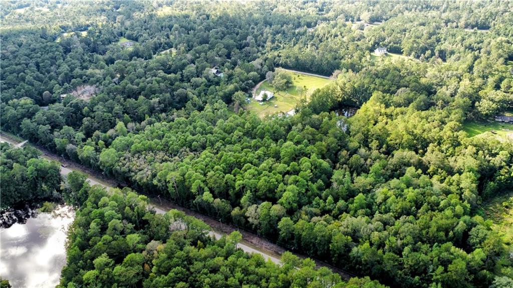 Hwy. 1083/ Ben Williams Road, Bush, Louisiana image 1