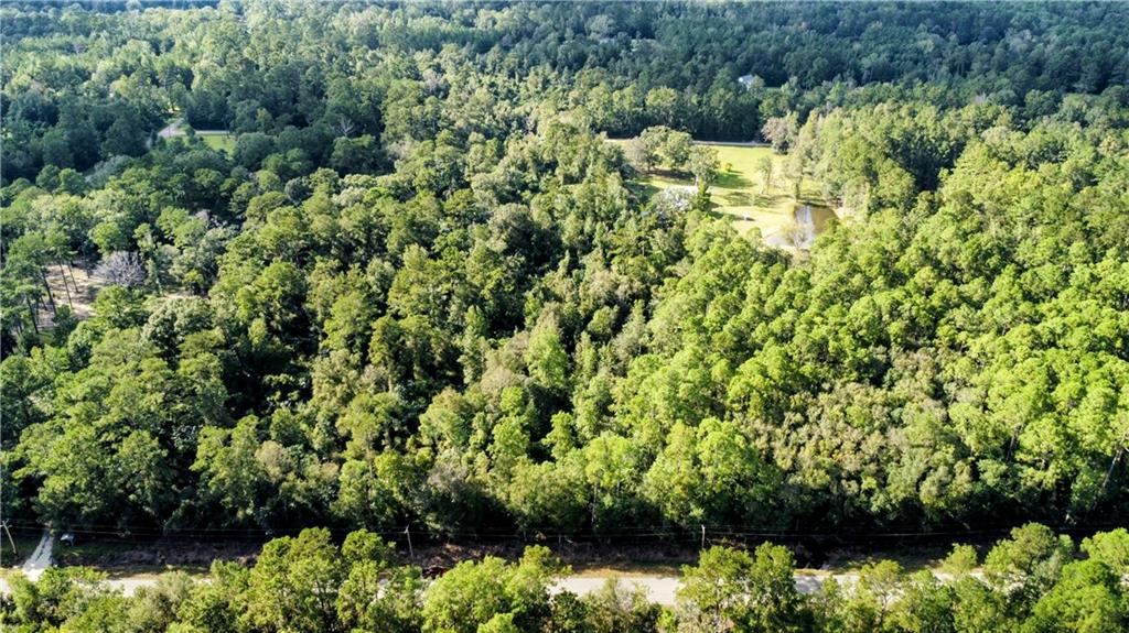 Hwy. 1083/ Ben Williams Road, Bush, Louisiana image 3