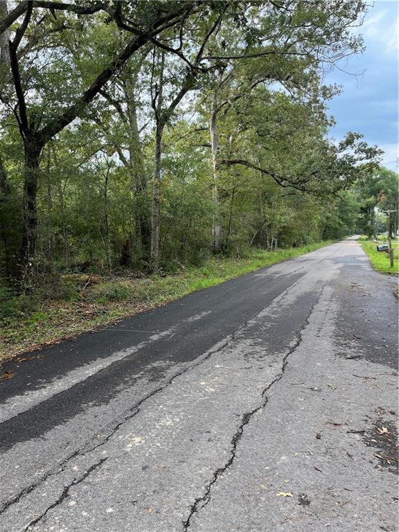 Richardson Lane Lane, Springfield, Louisiana image 11