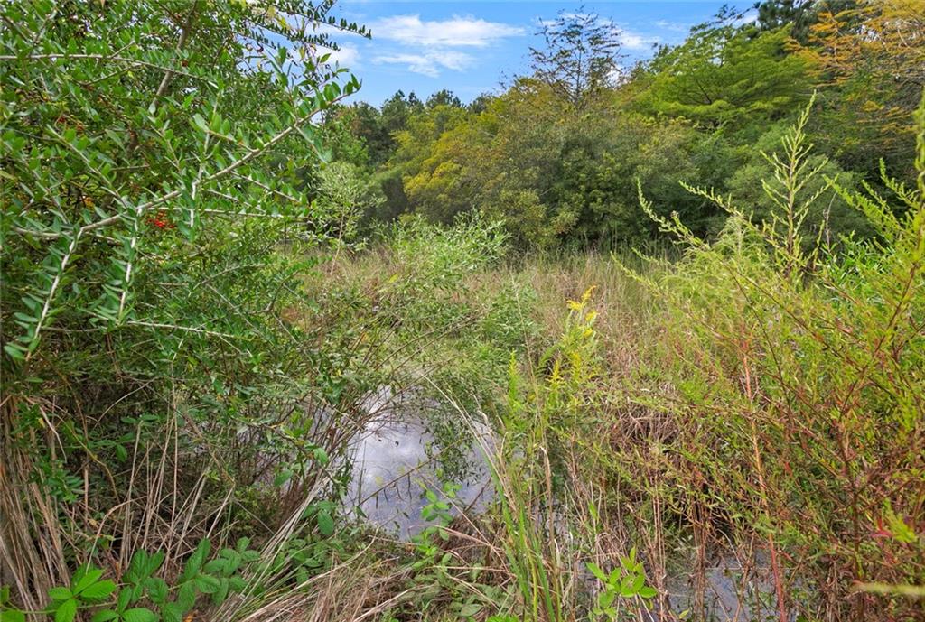 78251 Higgens Road, Bush, Louisiana image 21