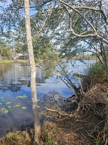 Boe Drive, Lacombe, Louisiana image 35