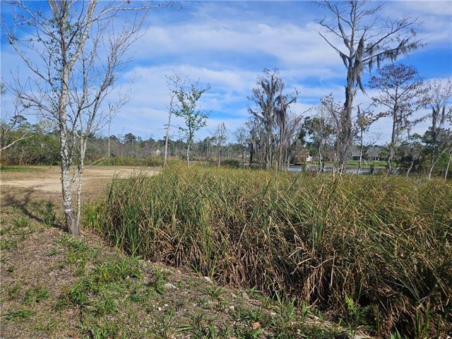 Boe Drive, Lacombe, Louisiana image 8