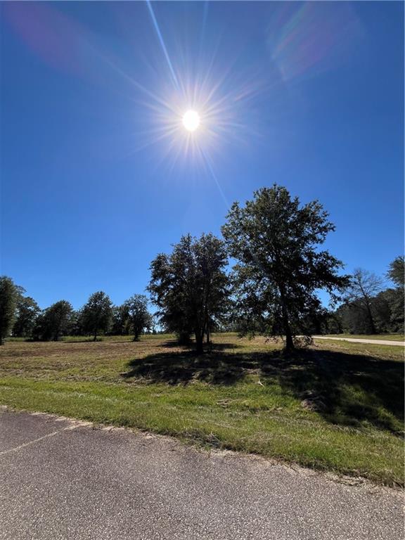 Gemstone Drive, Franklinton, Louisiana image 3