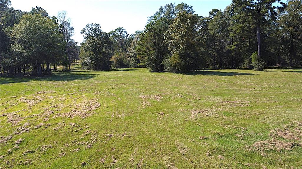 81622 Bob Baxter Road, Bush, Louisiana image 8