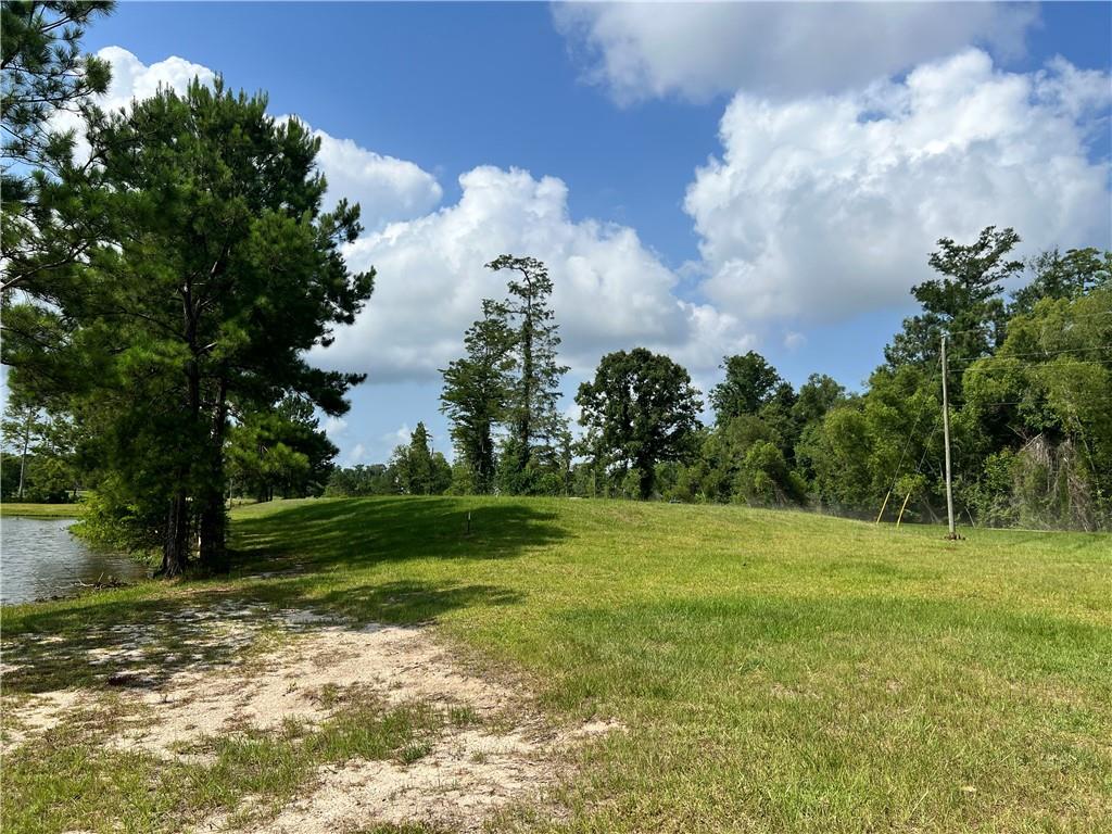 168 Kokomo Lane, Bush, Louisiana image 6