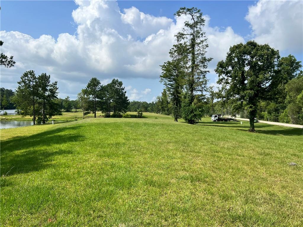 168 Kokomo Lane, Bush, Louisiana image 7