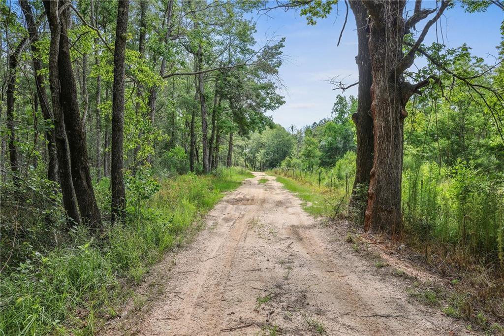 Ogden Lane, Amite, Louisiana image 3