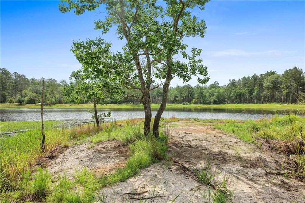 Ogden Lane, Amite, Louisiana image 2