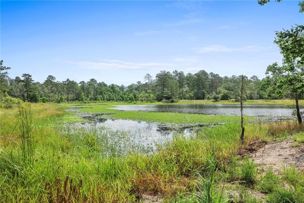 Ogden Lane, Amite, Louisiana image 3