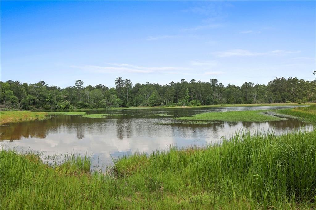 Ogden Lane, Amite, Louisiana image 4