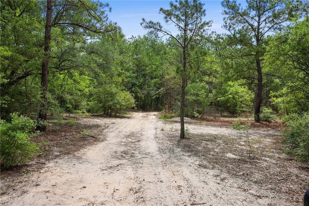 Ogden Lane, Amite, Louisiana image 1