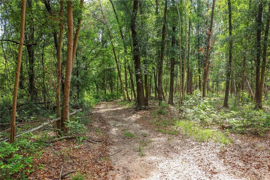 Ogden Lane, Amite, Louisiana image 2