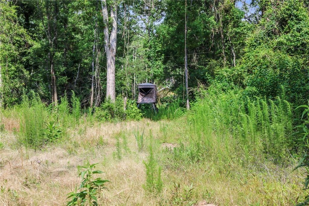 Ogden Lane, Amite, Louisiana image 7