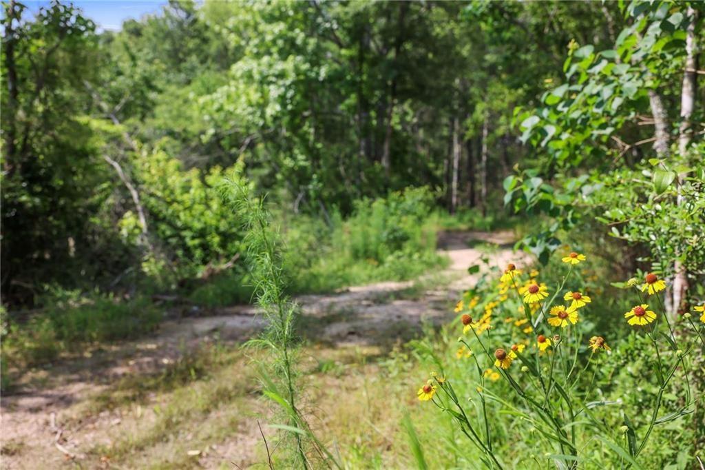 Ogden Lane, Amite, Louisiana image 2